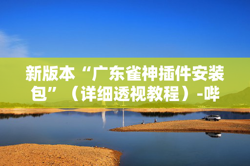 新版本“广东雀神插件安装包”（详细透视教程）-哔哩哔哩