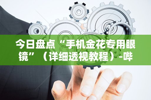 今日盘点“手机金花专用眼镜”（详细透视教程）-哔哩哔哩