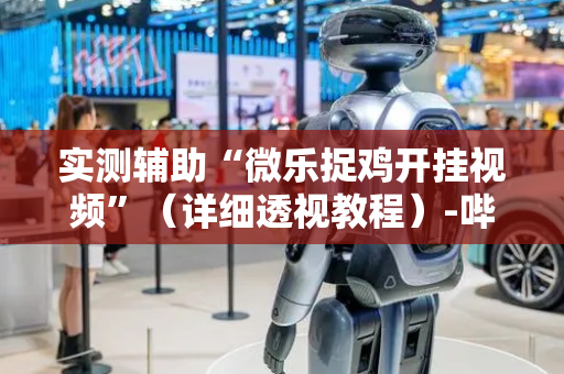 实测辅助“微乐捉鸡开挂视频”（详细透视教程）-哔哩哔哩