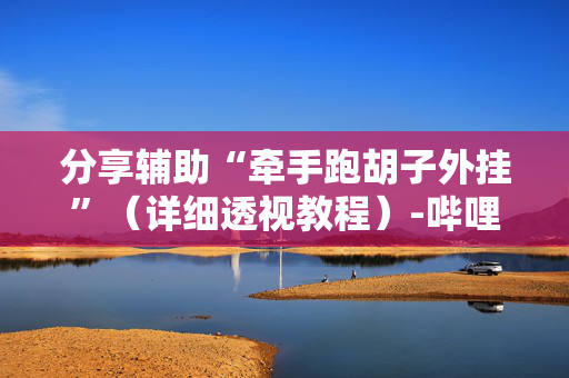 分享辅助“牵手跑胡子外挂”（详细透视教程）-哔哩哔哩