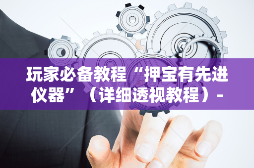 玩家必备教程“押宝有先进仪器”（详细透视教程）-哔哩哔哩