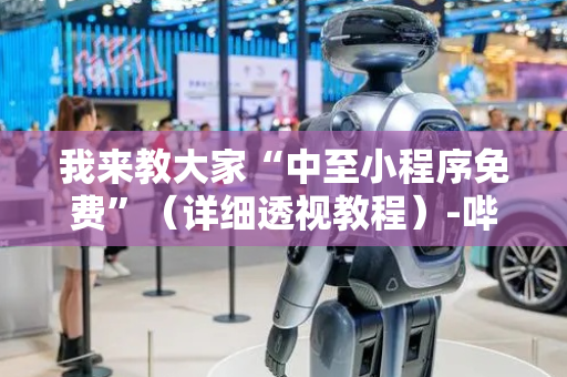 我来教大家“中至小程序免费”（详细透视教程）-哔哩哔哩