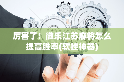 厉害了！微乐江苏麻将怎么提高胜率(软挂神器)