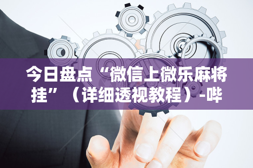 今日盘点“微信上微乐麻将挂”（详细透视教程）-哔哩哔哩