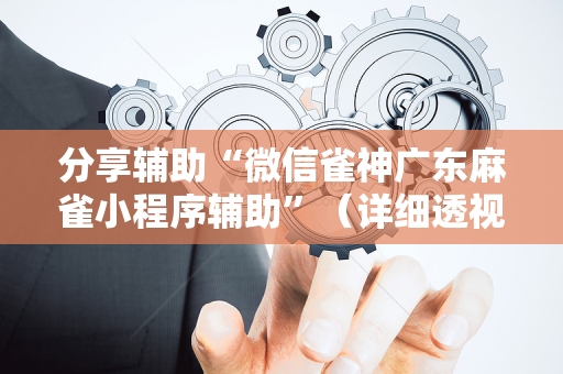 分享辅助“微信雀神广东麻雀小程序辅助”（详细透视教程）-哔哩哔哩