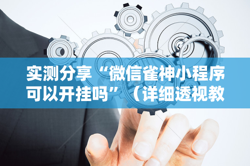 实测分享“微信雀神小程序可以开挂吗”（详细透视教程）-哔哩哔哩