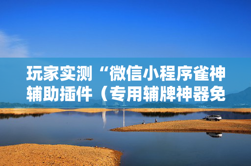 玩家实测“微信小程序雀神辅助插件（专用辅牌神器免安装）