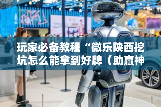 玩家必备教程“微乐陕西挖坑怎么能拿到好牌（助赢神器通用版）