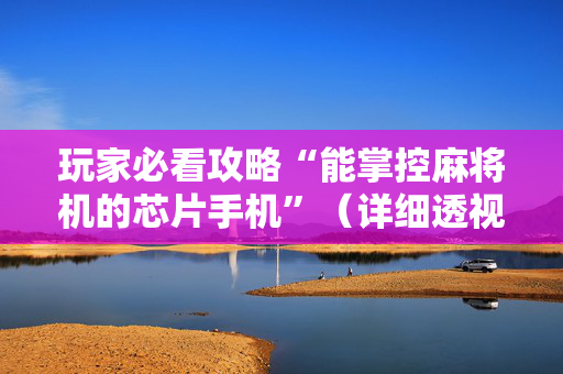 玩家必看攻略“能掌控麻将机的芯片手机”（详细透视教程）-哔哩哔哩