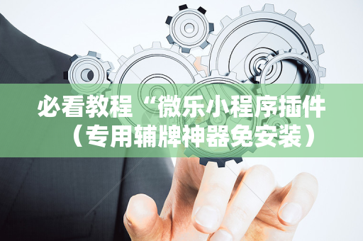 必看教程“微乐小程序插件（专用辅牌神器免安装）