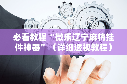 必看教程“微乐辽宁麻将挂件神器”（详细透视教程）-哔哩哔哩