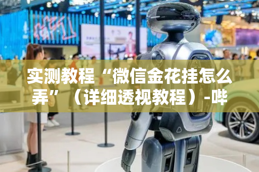 实测教程“微信金花挂怎么弄”（详细透视教程）-哔哩哔哩