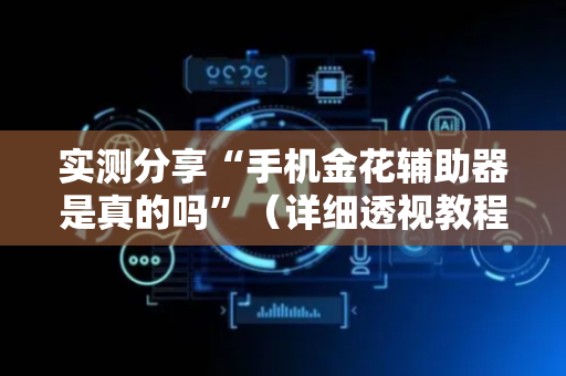 实测分享“手机金花辅助器是真的吗”（详细透视教程）-哔哩哔哩