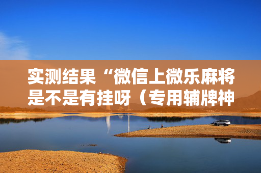 实测结果“微信上微乐麻将是不是有挂呀（专用辅牌神器免安装）