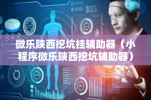 微乐陕西挖坑挂辅助器（小程序微乐陕西挖坑辅助器）