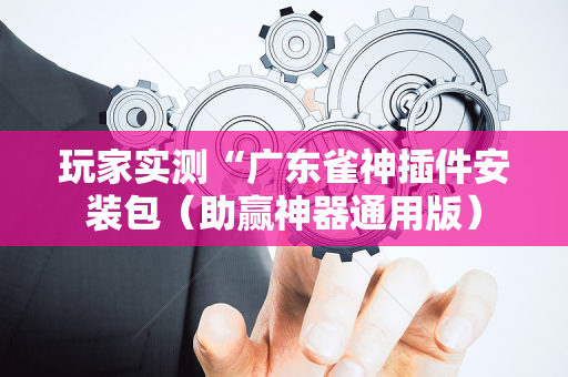 玩家实测“广东雀神插件安装包（助赢神器通用版）