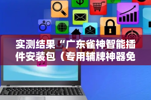 实测结果“广东雀神智能插件安装包（专用辅牌神器免安装）