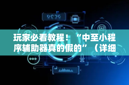 玩家必看教程！“中至小程序辅助器真的假的”（详细透视教程）-哔哩哔哩