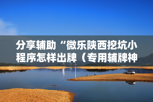 分享辅助“微乐陕西挖坑小程序怎样出牌（专用辅牌神器免安装）