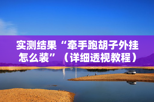 实测结果“牵手跑胡子外挂怎么装”（详细透视教程）-哔哩哔哩