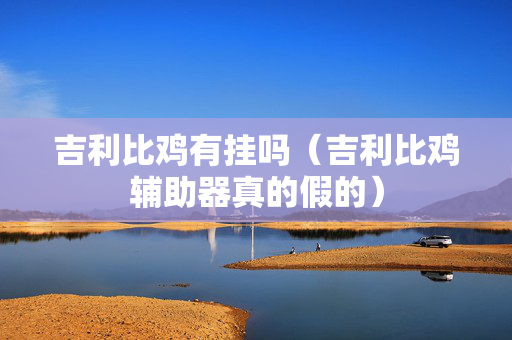 吉利比鸡有挂吗（吉利比鸡辅助器真的假的）