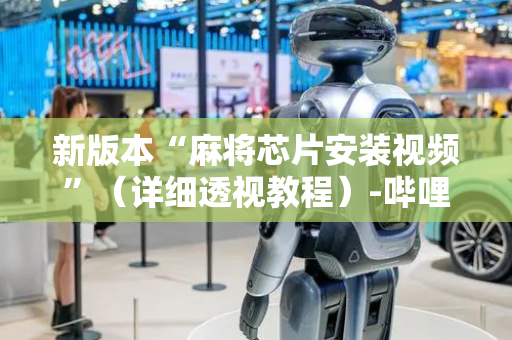 新版本“麻将芯片安装视频”（详细透视教程）-哔哩哔哩