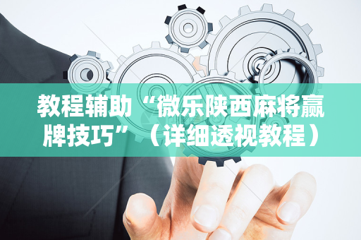 教程辅助“微乐陕西麻将赢牌技巧”（详细透视教程）-哔哩哔哩