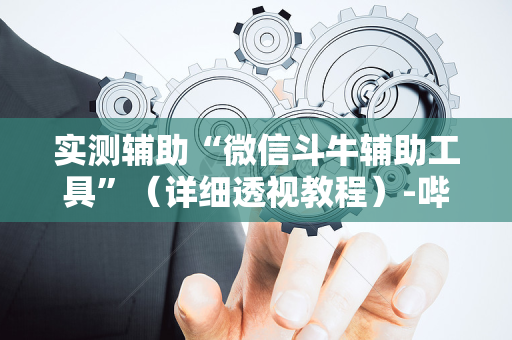 实测辅助“微信斗牛辅助工具”（详细透视教程）-哔哩哔哩