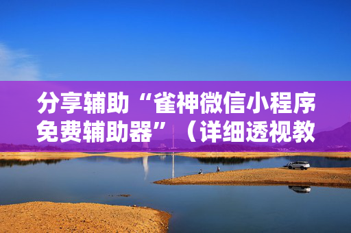分享辅助“雀神微信小程序免费辅助器”（详细透视教程）-哔哩哔哩