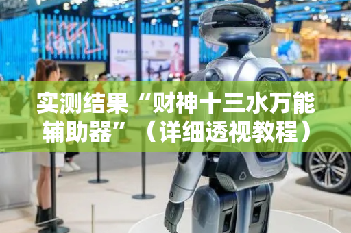实测结果“财神十三水万能辅助器”（详细透视教程）-哔哩哔哩