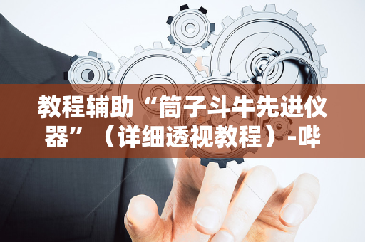 教程辅助“筒子斗牛先进仪器”（详细透视教程）-哔哩哔哩