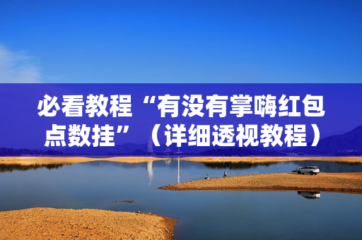 必看教程“有没有掌嗨红包点数挂”（详细透视教程）-哔哩哔哩