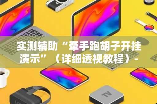 实测辅助“牵手跑胡子开挂演示”（详细透视教程）-哔哩哔哩