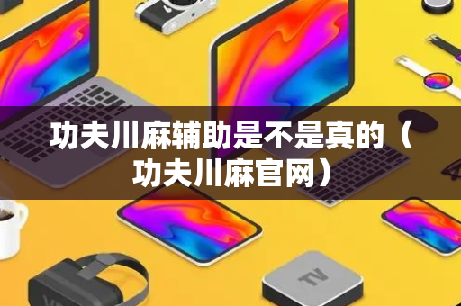 功夫川麻辅助是不是真的（功夫川麻官网）