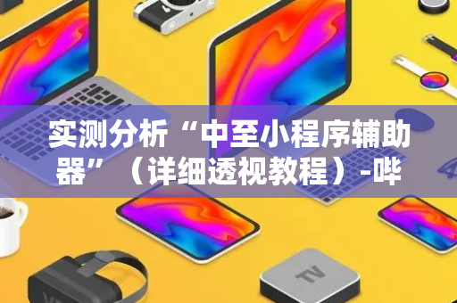 实测分析“中至小程序辅助器”（详细透视教程）-哔哩哔哩