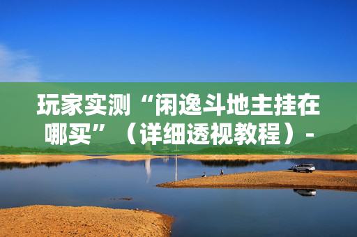 玩家实测“闲逸斗地主挂在哪买”（详细透视教程）-哔哩哔哩