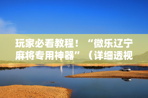 玩家必看教程！“微乐辽宁麻将专用神器”（详细透视教程）-哔哩哔哩