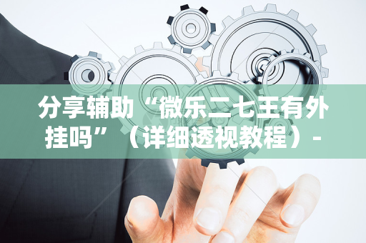 分享辅助“微乐二七王有外挂吗”（详细透视教程）-哔哩哔哩