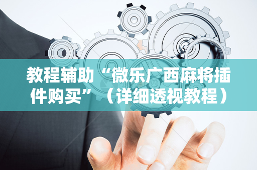 教程辅助“微乐广西麻将插件购买”（详细透视教程）-哔哩哔哩
