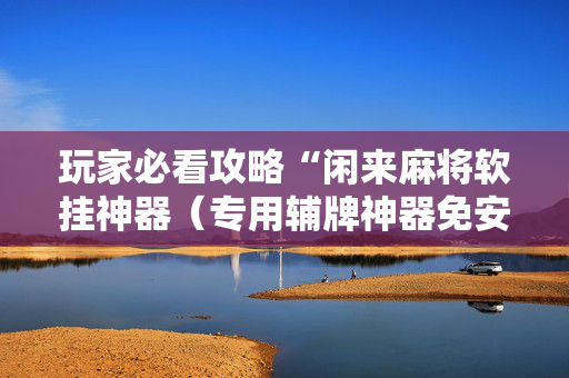 玩家必看攻略“闲来麻将软挂神器（专用辅牌神器免安装）