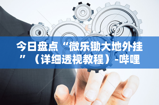 今日盘点“微乐锄大地外挂”（详细透视教程）-哔哩哔哩