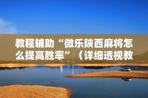 教程辅助“微乐陕西麻将怎么提高胜率”（详细透视教程）-哔哩哔哩