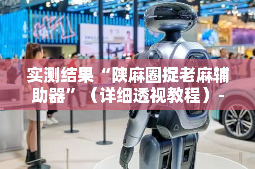 实测结果“陕麻圈捉老麻辅助器”（详细透视教程）-哔哩哔哩