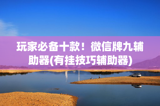 玩家必备十款！微信牌九辅助器(有挂技巧辅助器)