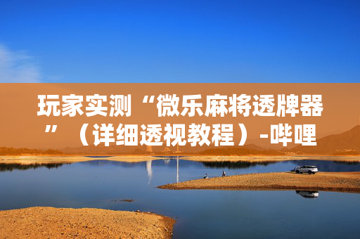 玩家实测“微乐麻将透牌器”（详细透视教程）-哔哩哔哩