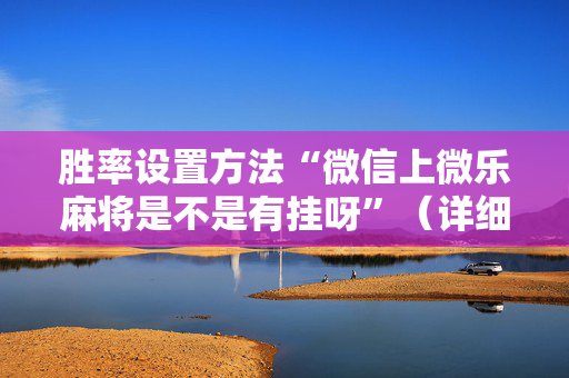 胜率设置方法“微信上微乐麻将是不是有挂呀”（详细透视教程）-哔哩哔哩