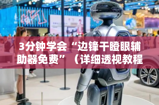 3分钟学会“边锋干瞪眼辅助器免费”（详细透视教程）-哔哩哔哩