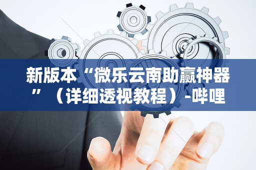 新版本“微乐云南助赢神器”（详细透视教程）-哔哩哔哩