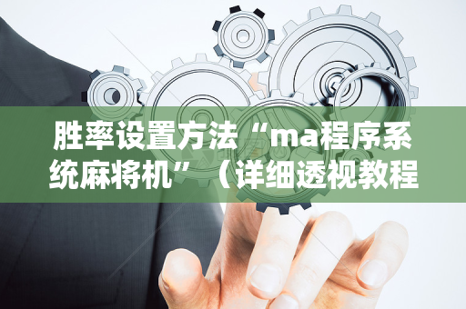 胜率设置方法“ma程序系统麻将机”（详细透视教程）-哔哩哔哩