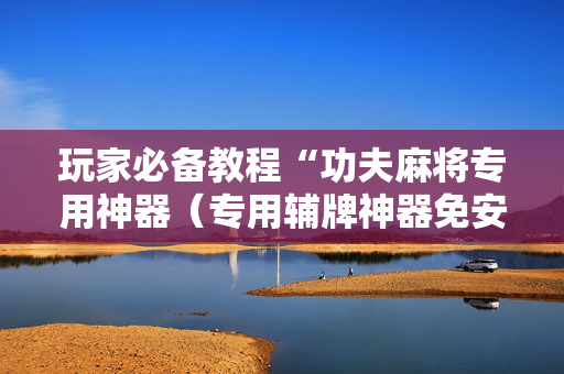 玩家必备教程“功夫麻将专用神器（专用辅牌神器免安装）